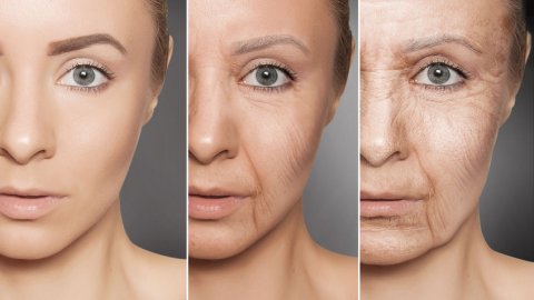 lumiere bőr öregedésgátló szérum spontán generáció versus biogenezis anti aging