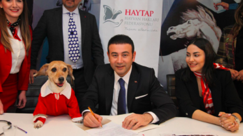 CHP'nin BeÅiktaÅ adayÄ± RÄ±za Akpolat HAYTAP'a 'sÃ¶z verdi'