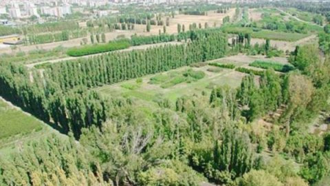 Atatürk Orman Çiftliği arazisi ‘yeniden’ kiralanıyor