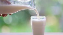 SETBİR'den elektrik kesintilerine karşı çiğ süt uyarısı: Muaf tutulsun