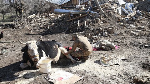 Elazığ'da yok olan köyün muhtarı konuştu: Herkes şehre gitti 