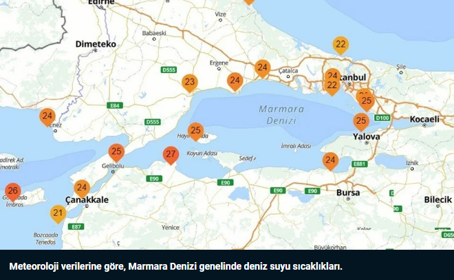 Marmara'da deniz suyu sıcaklığı 25 dereceye çıktı - Resim : 2