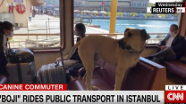 İstanbul'da toplu taşıma kullanarak gezen Boji, CNN'e de haber oldu