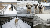 İstanbul'da kar yağışı: Kartpostallık görüntüler oluştu