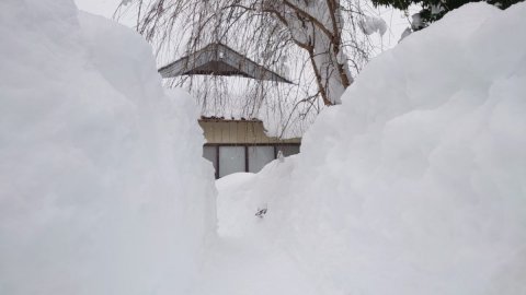 Japonya’da kar felaketi! 4 kişi yaşamını yitirdi
