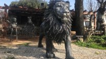 Aslan heykeli Barcelona maçına yetişti