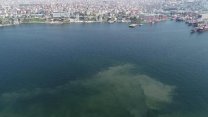 İstanbul'da kabus geri mi dönüyor? Müsilaj sahillerde drone ile görüntülendi