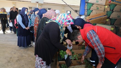 İzmit Belediyesi'nden tarımsal kalkınma hamlesi: binlerce köylüye yüzde 100 hibeli fide