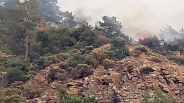 Fethiye'de yıldırım, orman yangınına neden oldu
