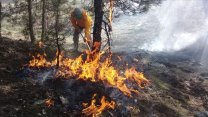 Muğla'da yangın önlemi: Ormanlara giriş yasaklandı