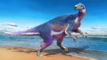 Kılıç gibi pençeleri olan dinozor türü keşfedildi