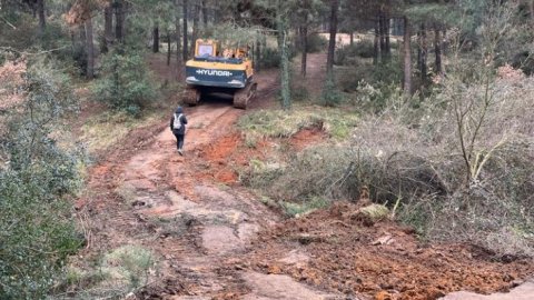 TKP'den Aydos açıklaması: 'Talana ve yağmaya geçit vermeyeceğiz, Aydos Ormanı halkındır'