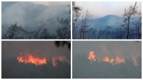 Marmaris alev alev: Resmi koruma alanı ilan edilen bölgenin yüzde 20'si yandı! 