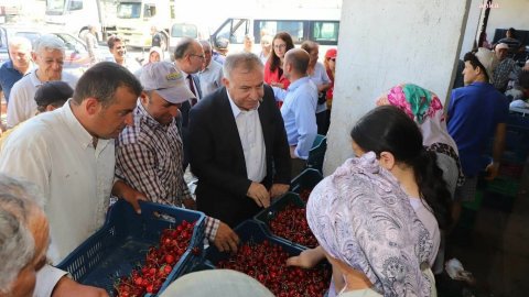 Kiraz üretici CHP'li vekile dert yandı: Bu çiftçi ne kazanacak