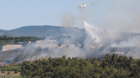Çanakkale'de anız alanında başlayan yangın ormana sıçradı