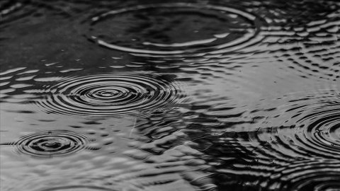 Araştırma: Dünyanın her yerindeki yağmur sularında kimyasal maddelere rastlandı