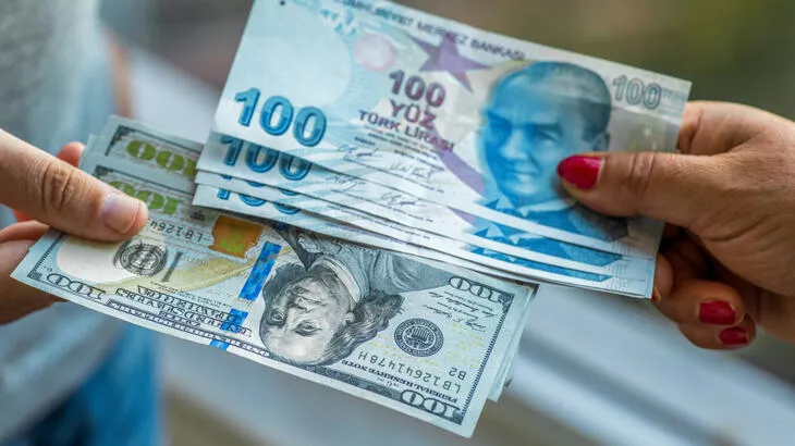 AKP'nin 'döviz' hamlesi şirketlere yaradı: Filo kiralama şirketi, kur korumalı mevduat ile 6 ayda tam 73 milyon lira kazandı