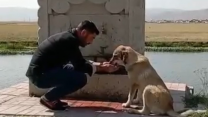 Sıcaktan bunalan köpeğe elleriyle su verdi