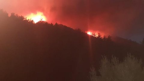 Marmaris'teki orman yangınıyla ilgili gözaltına alınan zanlıya ev hapsi
