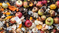 Dünya hayatı çöpe atıyor: Türkiye yılda 7,7 milyon tondan fazla gıda israf ediyor