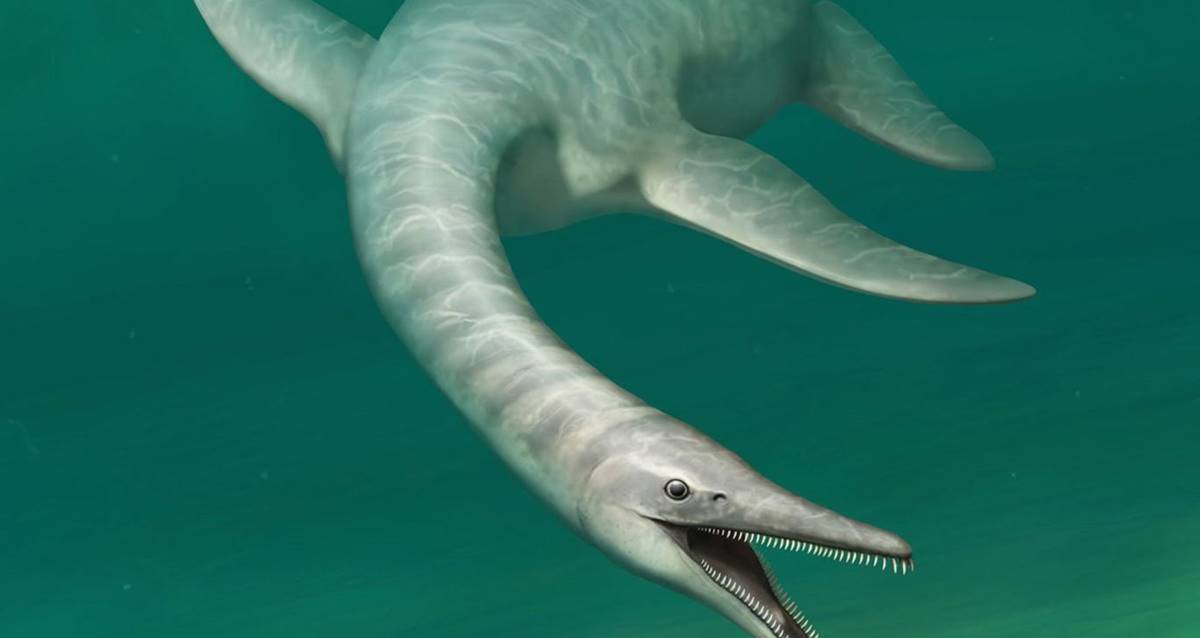 Yılan ve timsah karışımı 'deniz canavarı' keşfedildi - Resim : 1