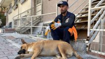 Temizlik görevlisi ile sokakta yaşayan köpeğin dostluğu yürekleri ısıttı 
